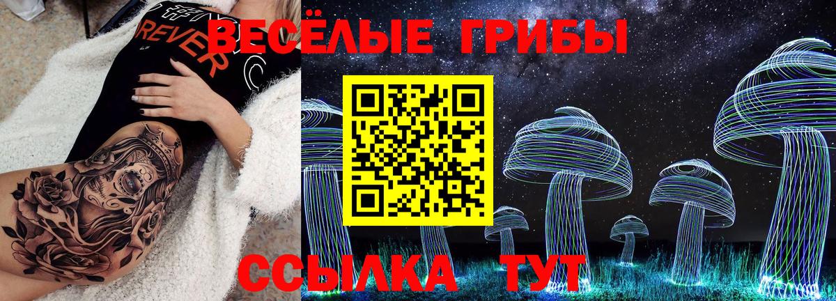 Галлюциногенные грибы GOLDEN TEACHER  Псилоцибиновые грибы Psilocybine cubensis  Вход с VPN  Асбест 