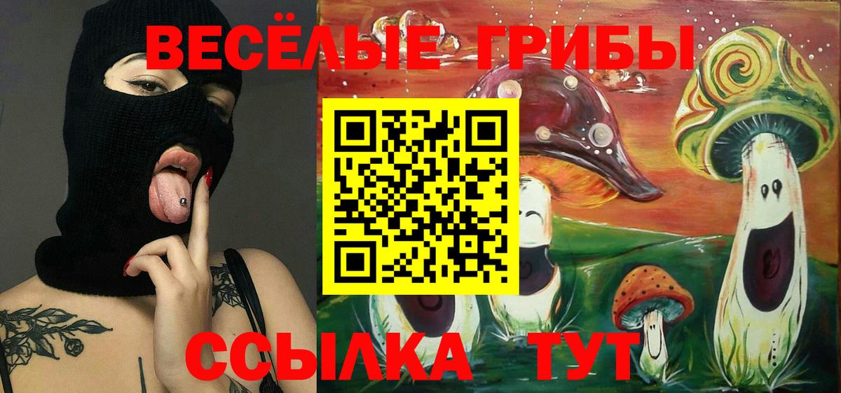 Псилоцибиновые грибы Psilocybine cubensis Асбест